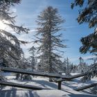 Winter am Brocken