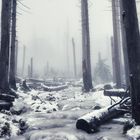 Winter am Brocken