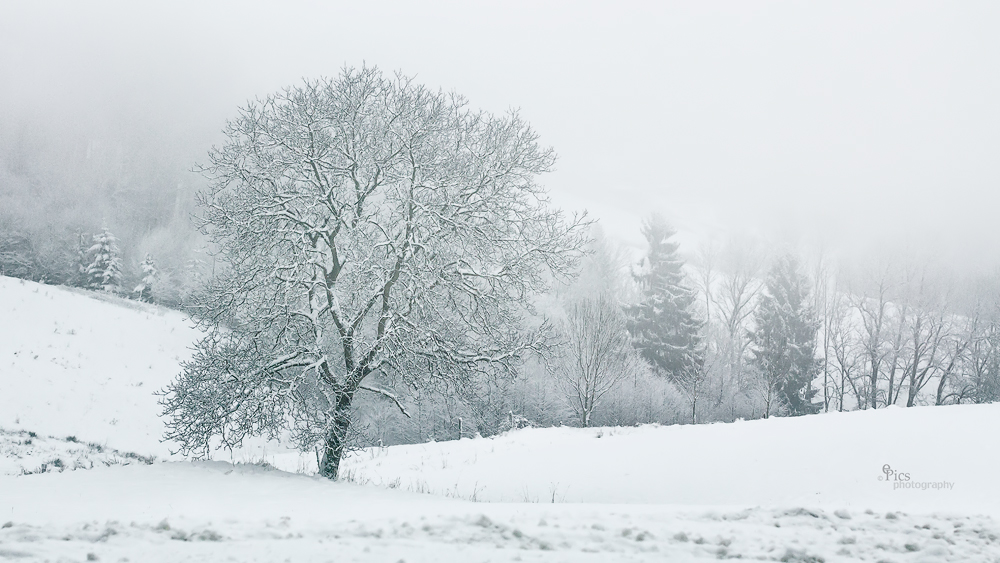 Winter am Brotjackelriegel