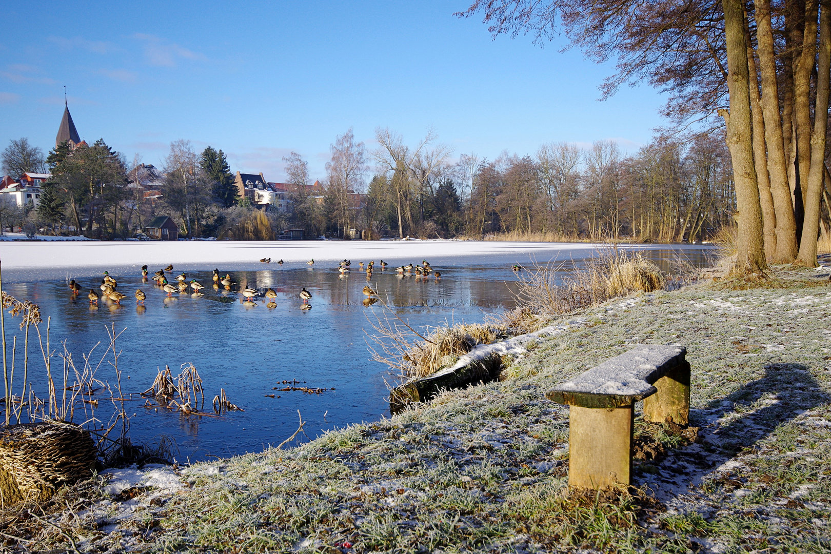 Winter am Burgsee