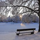 Winter am Campingplatzsee