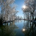 Winter am Chiemsee 