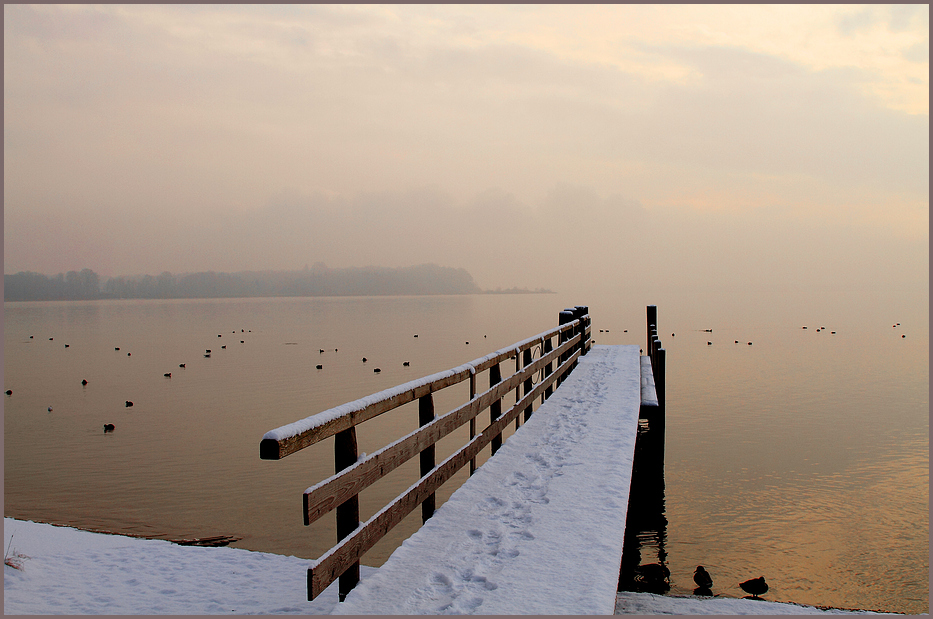 Winter am Chiemsee von Manfred Gorus 