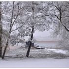 Winter am Chiemsee