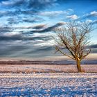 Winter am Craulaer-Kreuz