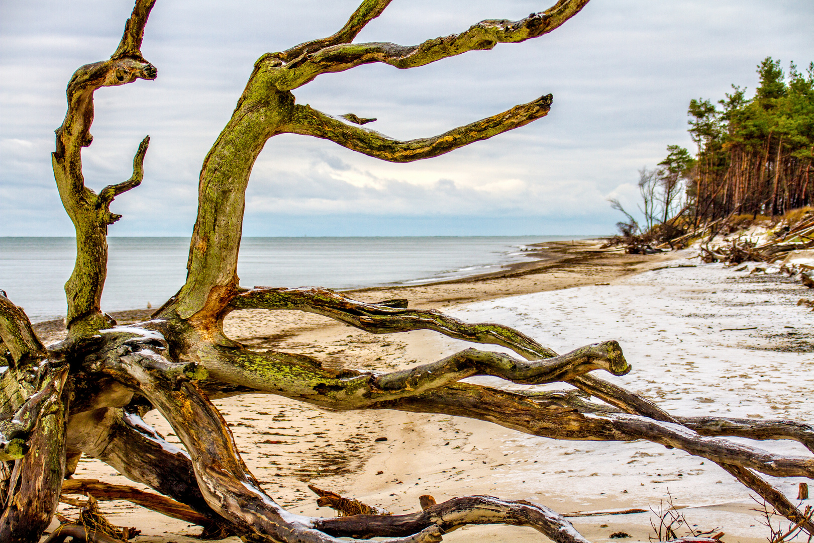 - Winter am Darßer Weststrand -