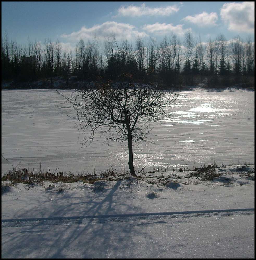 Winter am der Tongrube