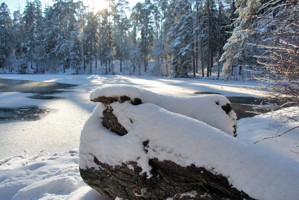 Winter am Donoper Teich