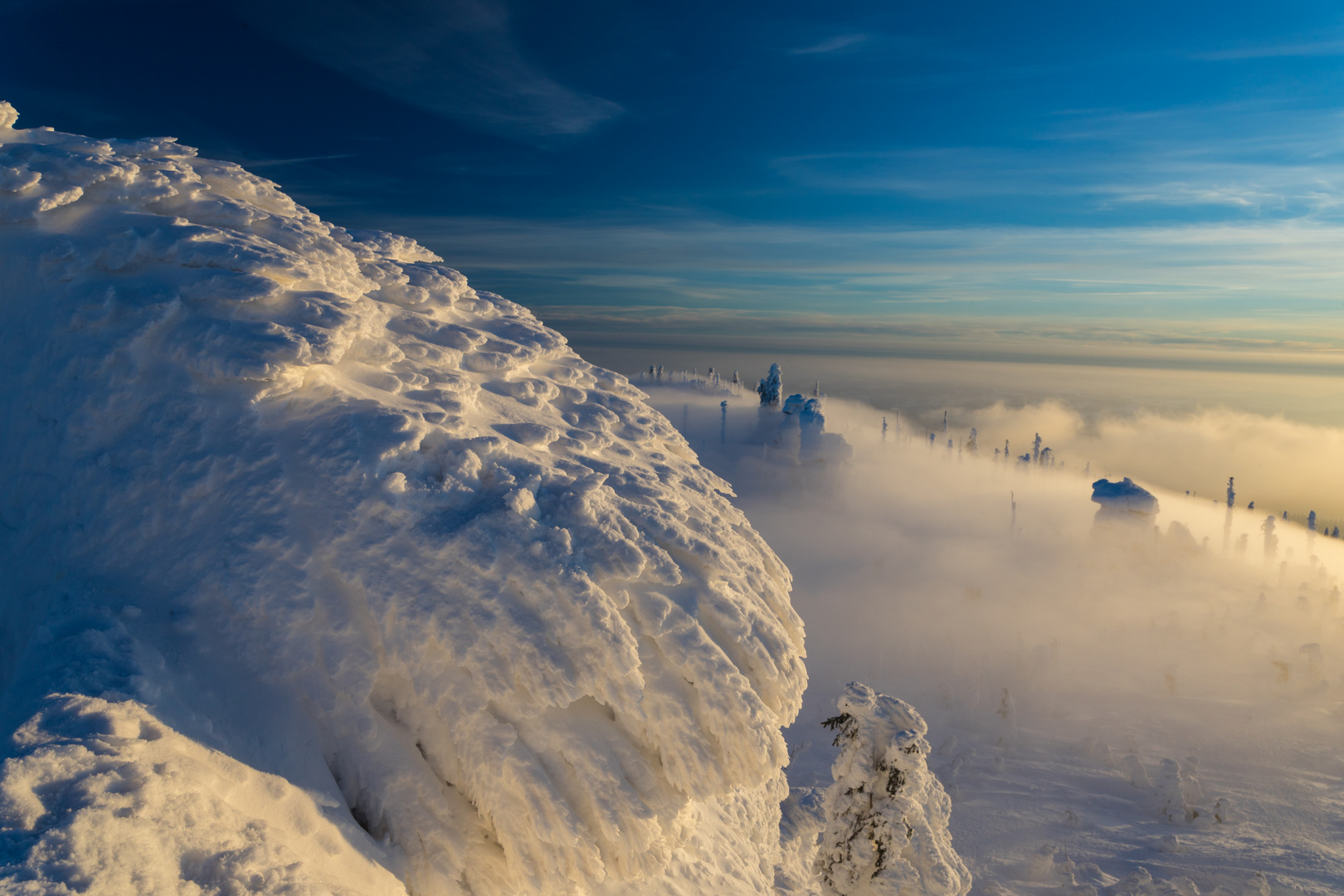 Winter am Dreisesselberg