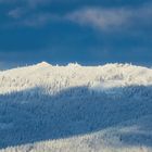 Winter am Dreisesselberg (über 1300m hoch)