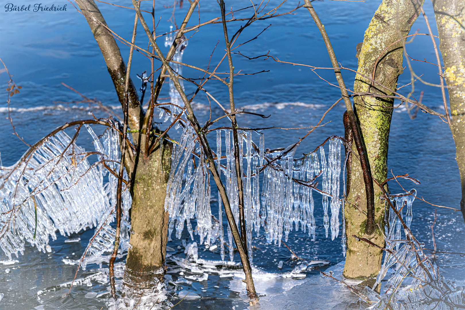 Winter am Dutenhofener See