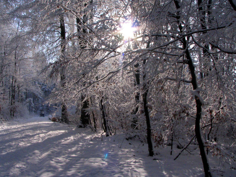 Winter am Egelsee 1