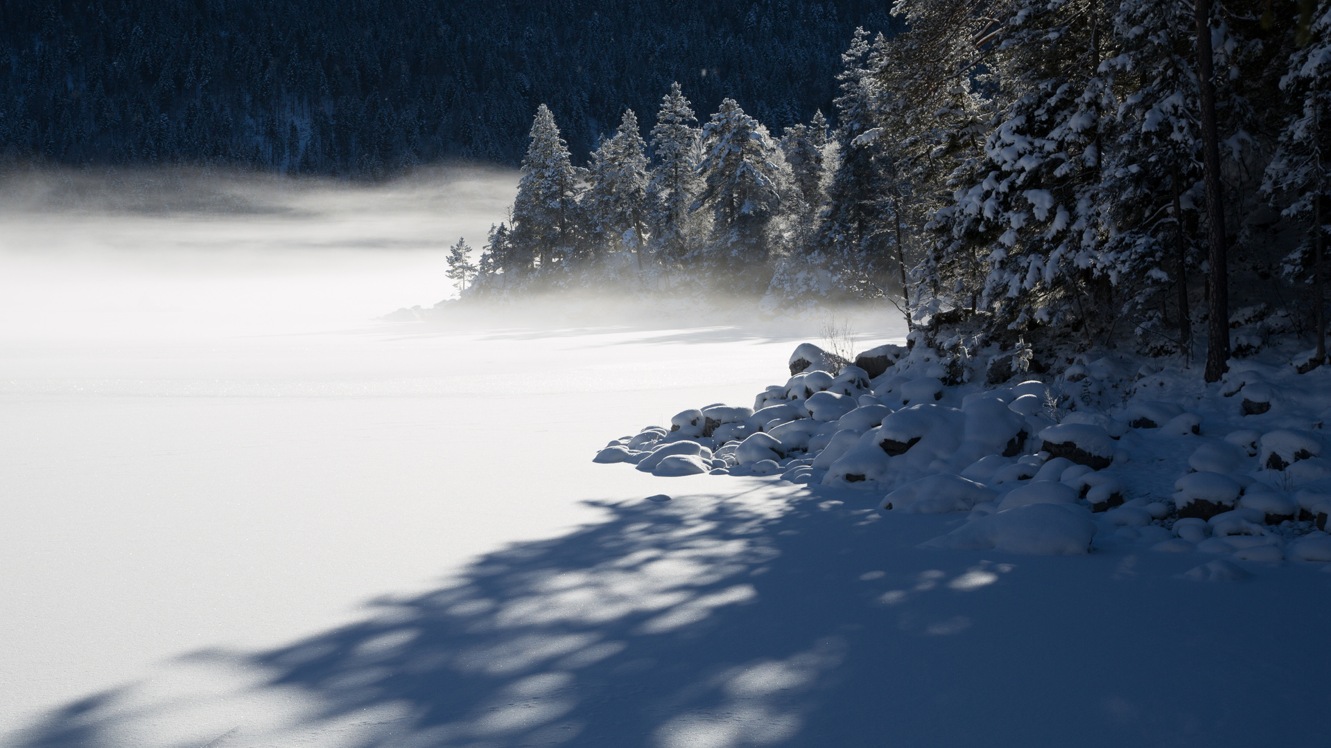 Winter am Eibsee