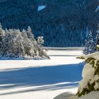 Winter am Eibsee