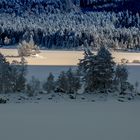 Winter am Eibsee