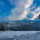 Winter am Eibsee