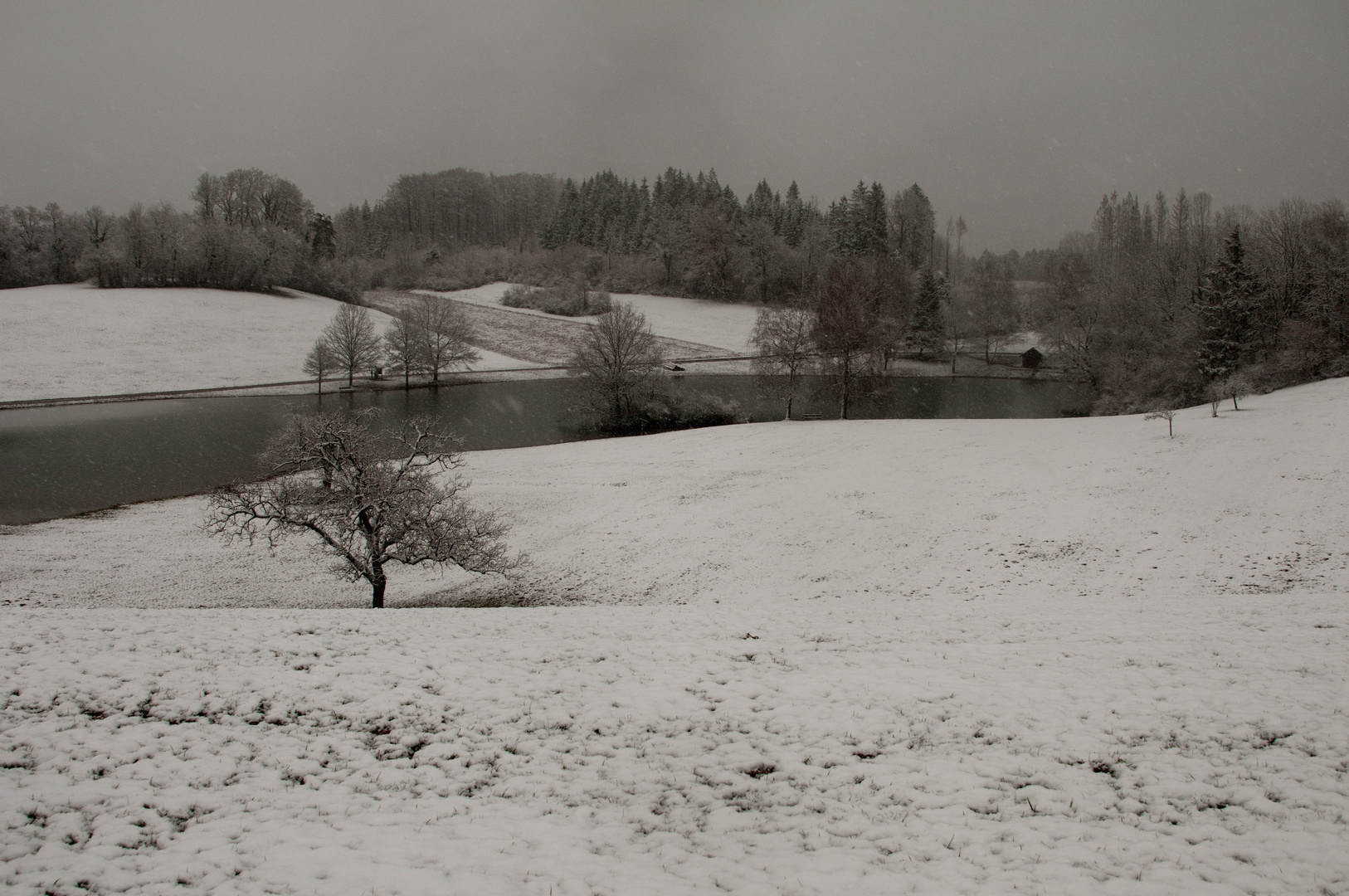 Winter am Eichener See