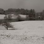 Winter am Eichener See