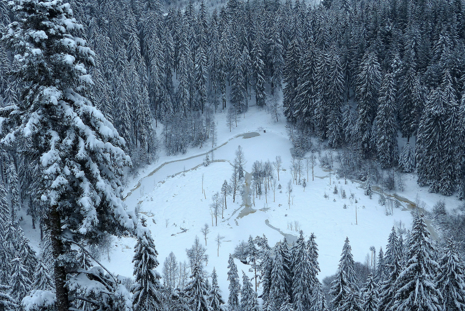 °°°° Winter am Ellbachsee °°°°