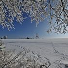 Winter am Erbeskopf 2011