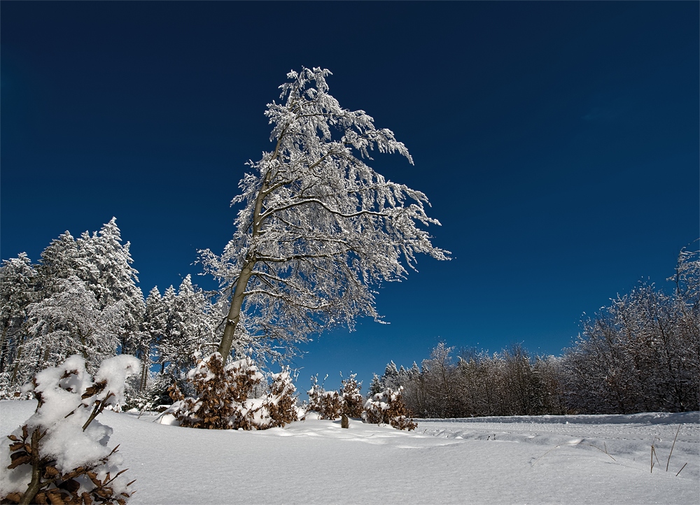 Winter am Erbeskopf 4