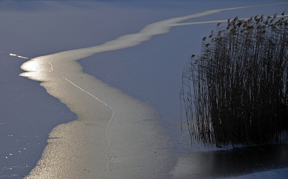 Winter am Escher See 1