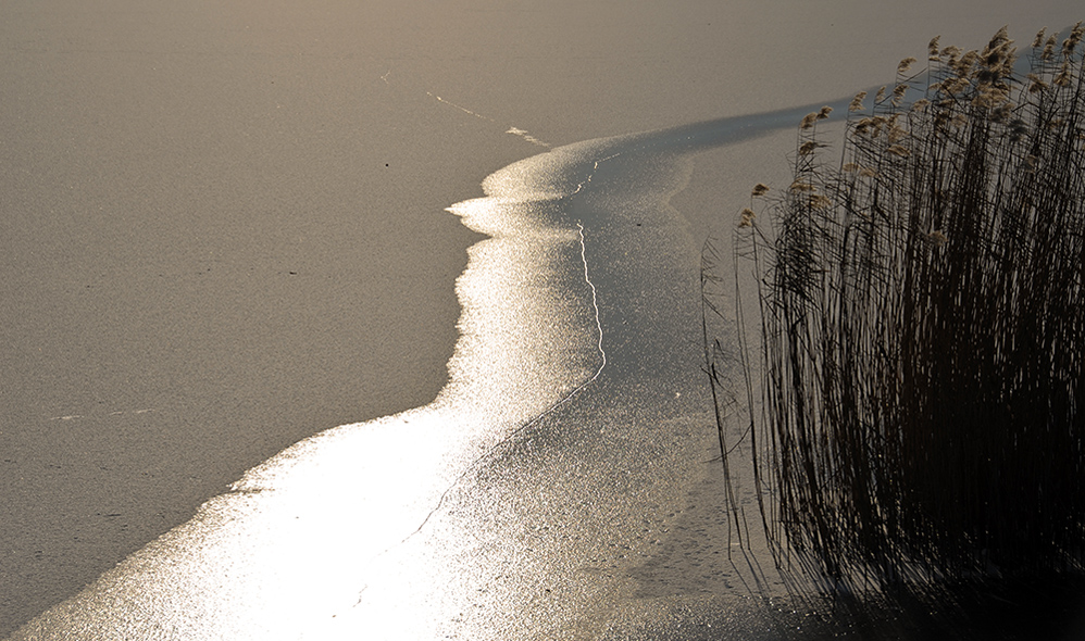 Winter am Escher See 3