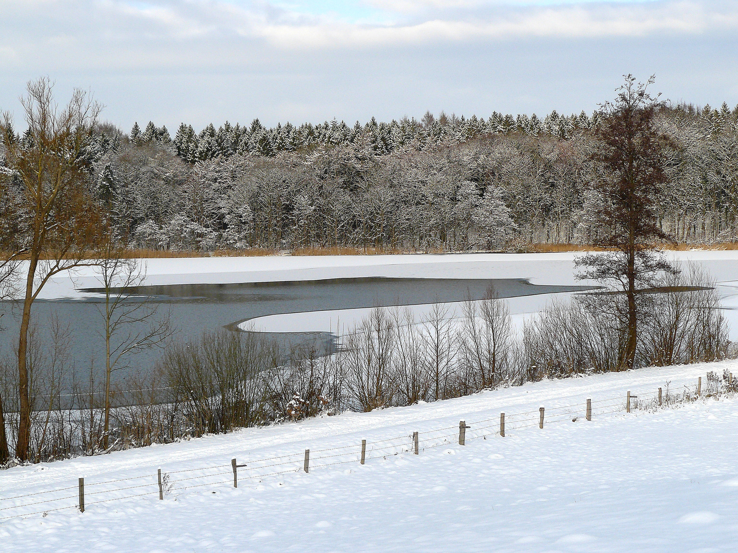 Winter am Eutiner See