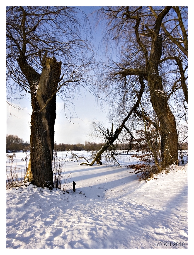 Winter am Ewaldsee (2)