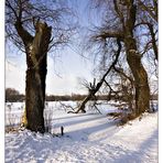Winter am Ewaldsee (2)