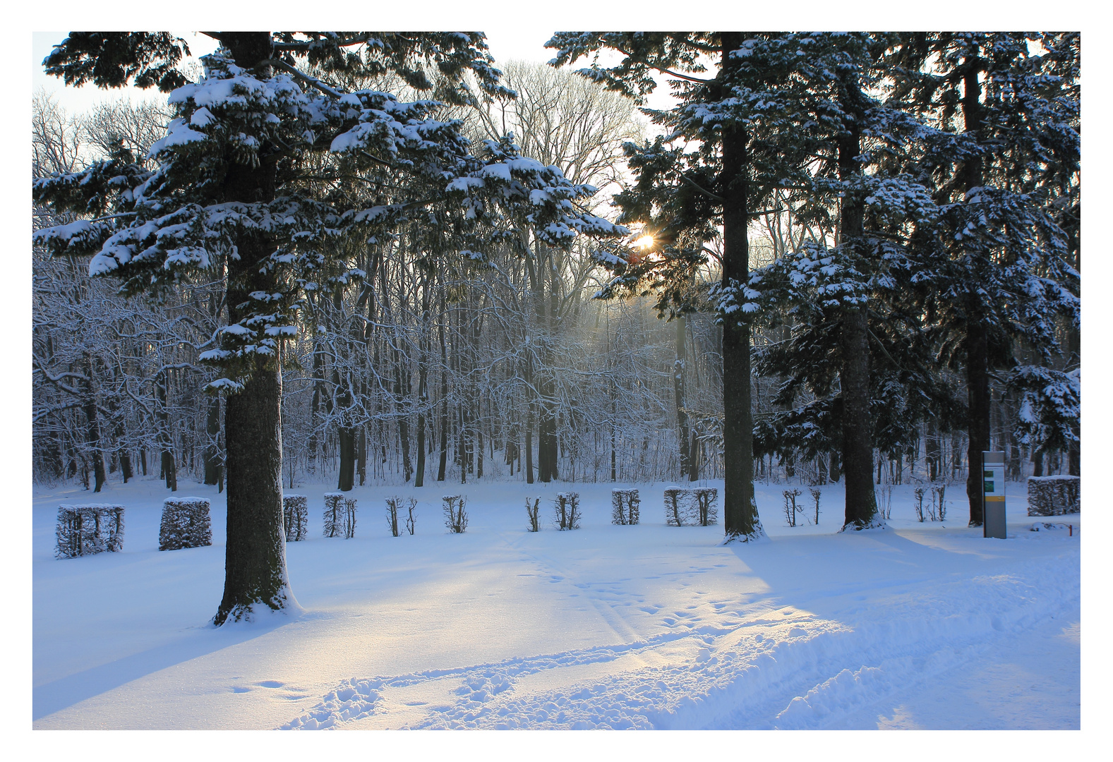 Winter am Fasanenschlößchen