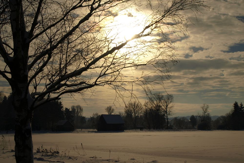 Winter am Federsee