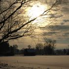 Winter am Federsee