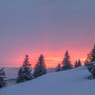 Winter am Feldberg