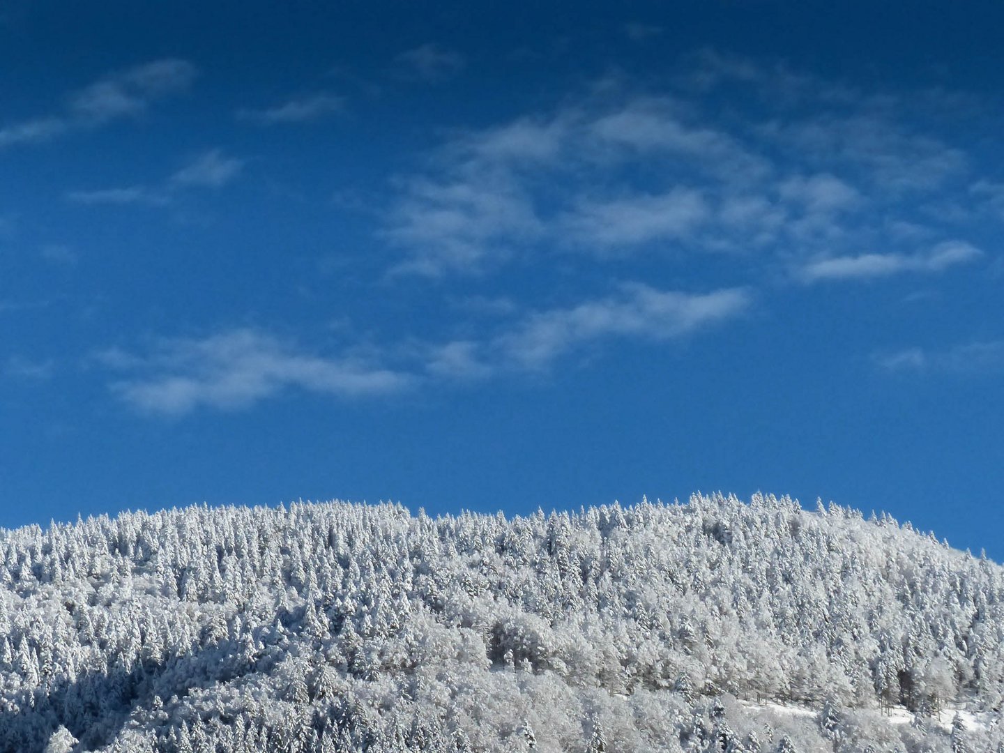 Winter am Feldberg