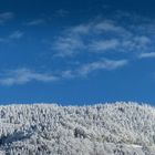 Winter am Feldberg