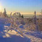 Winter am Feldberg im Taunus