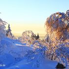 Winter am Feldberg im Taunus