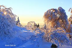 Winter am Feldberg im Taunus