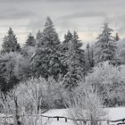 Winter am Feldberg im Taunus