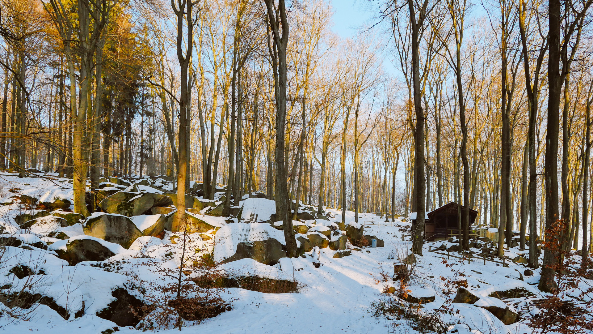 Winter am Felsenmeer Odenwald 2017