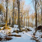 Winter am Felsenmeer Odenwald 2017