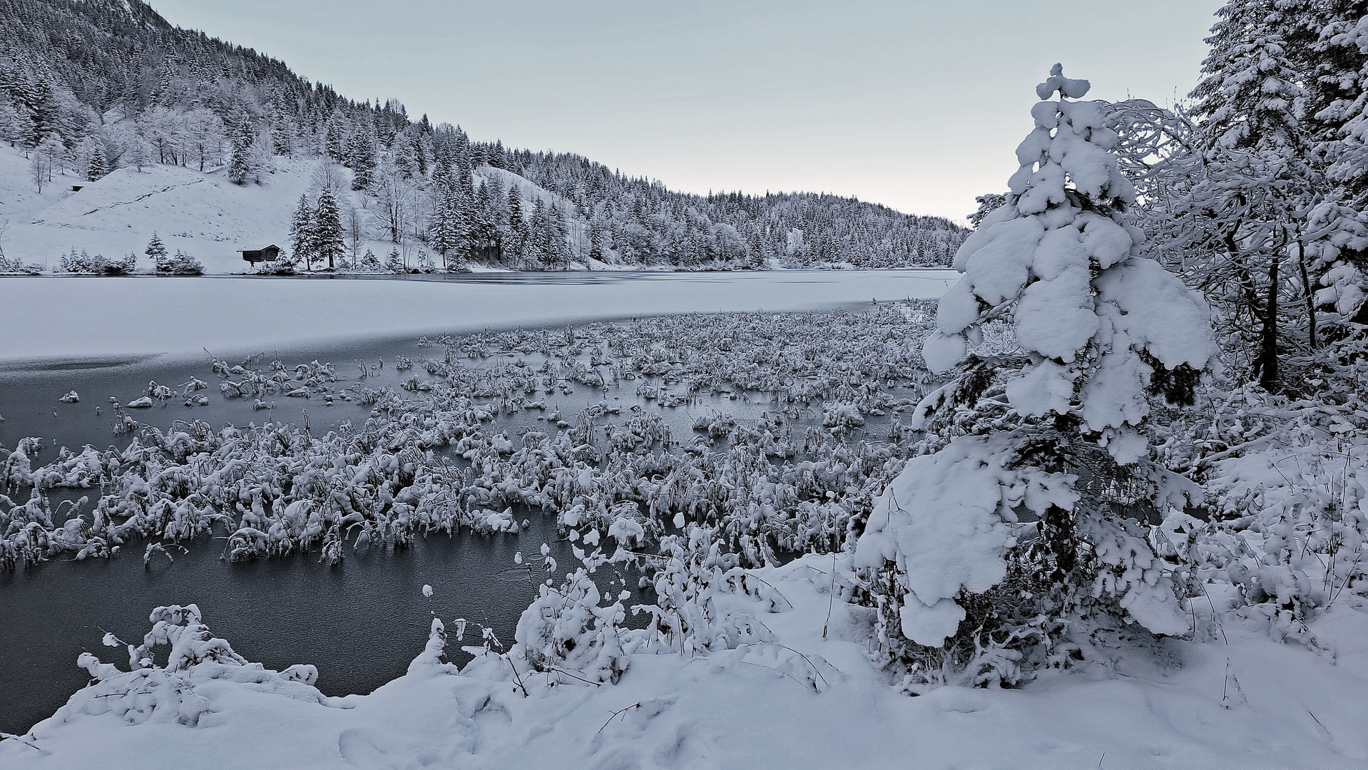 Winter am Ferchensee