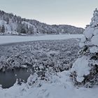 Winter am Ferchensee