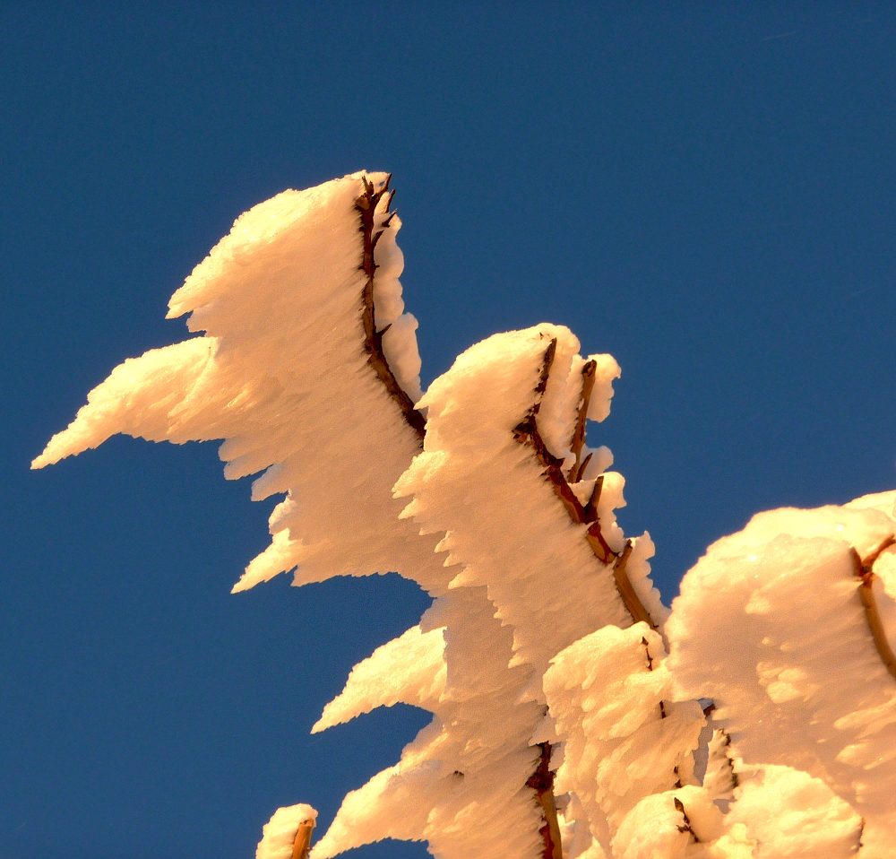 Winter am Fichtelberg (1)