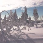 Winter am Fichtelberg