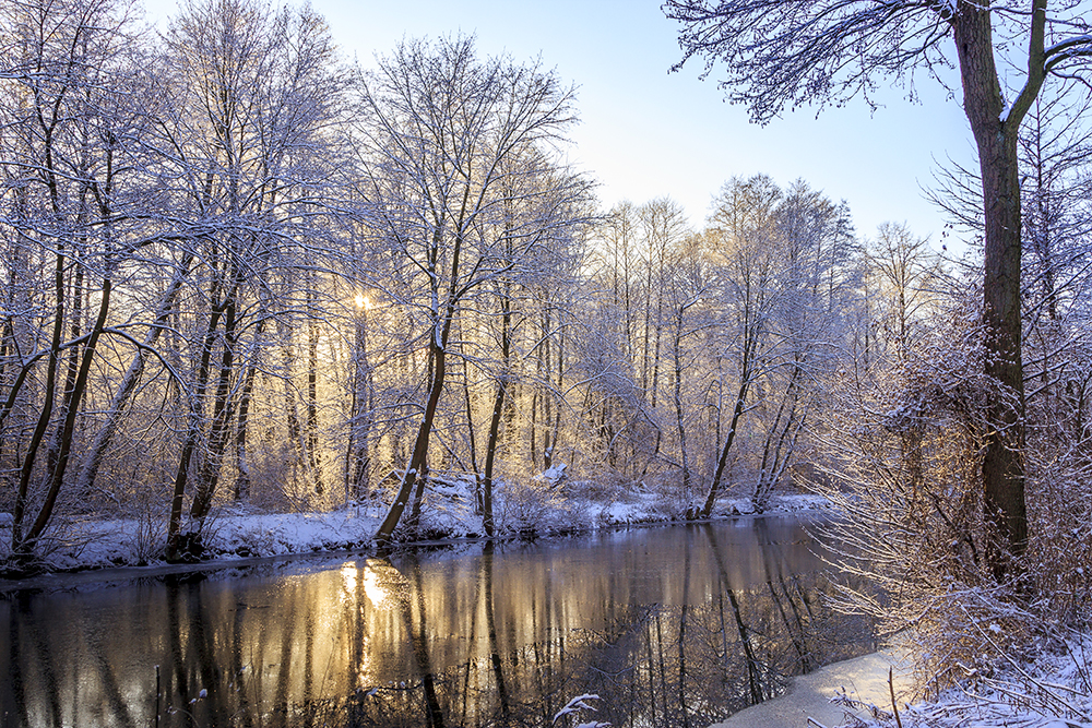 Winter am Finowkanal II