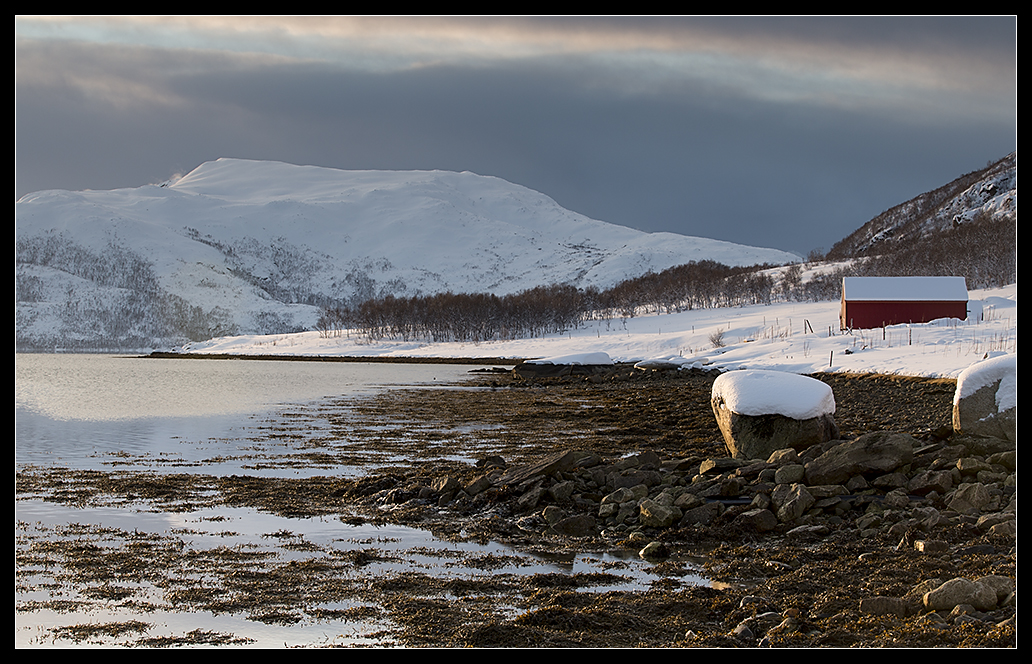 Winter am Fjord