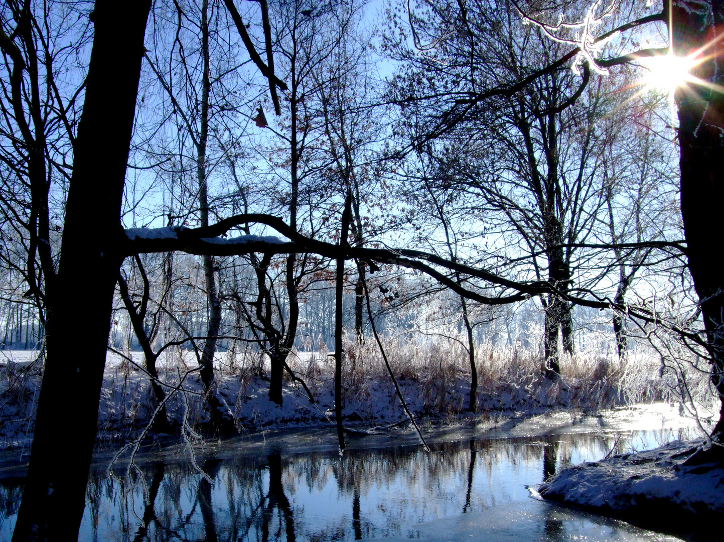 Winter am Flüßchen