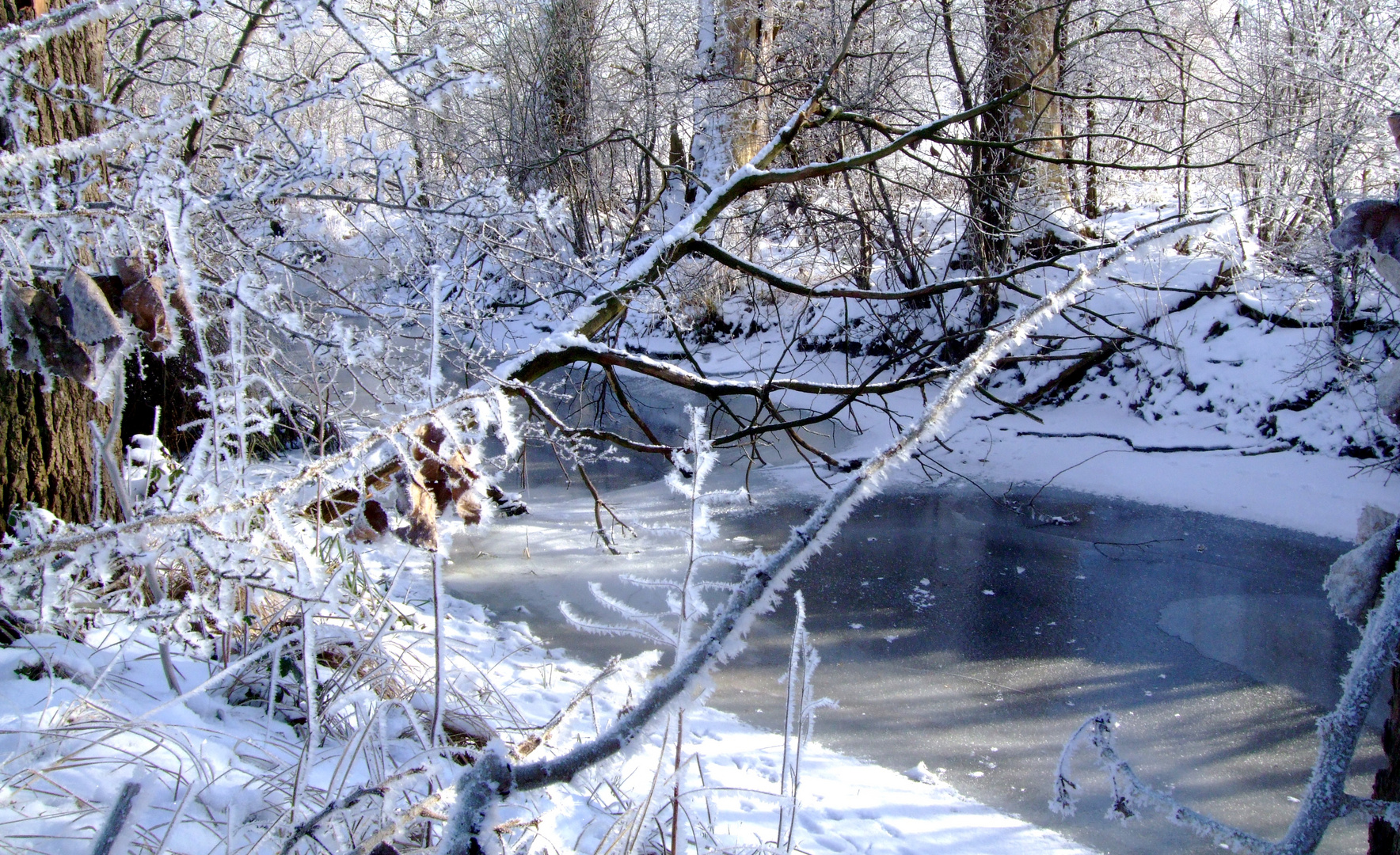 Winter am Flüßchen2